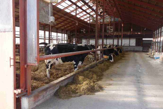 001q7E9Zgy6NYaYrmFe7c&690.jpg 001q7E9Zgy6NYaYrmFe7c&690.jpg