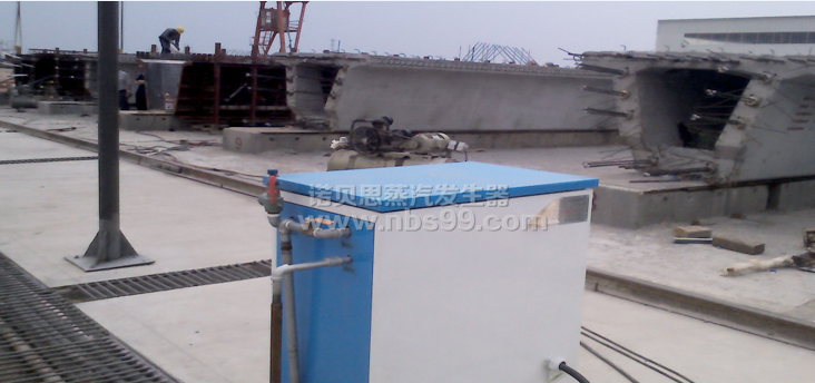 高压蒸汽发生器 高压蒸汽发生器