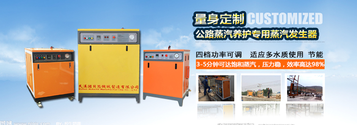 路桥养护蒸汽发生器 路桥养护蒸汽发生器
