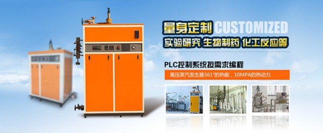 高压蒸汽发生器 高压蒸汽发生器