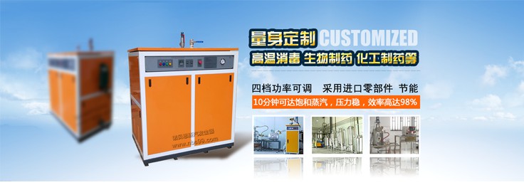 高压防爆电蒸汽发生器 高压防爆电蒸汽发生器