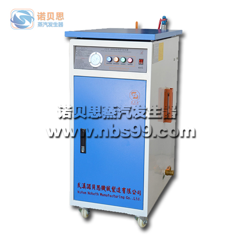 电蒸汽发生器 电蒸汽发生器
