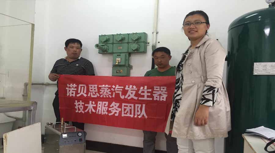 蒸汽发生器厂家技术团队服务 蒸汽发生器厂家技术团队服务