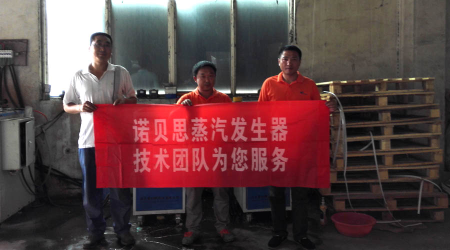 芭乐视频APP黄色版下载安装蒸汽发生器售后团队