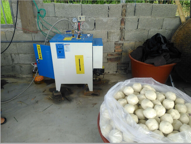 免检生物质蒸汽发生器用于食品加工 免检生物质蒸汽发生器用于食品加工