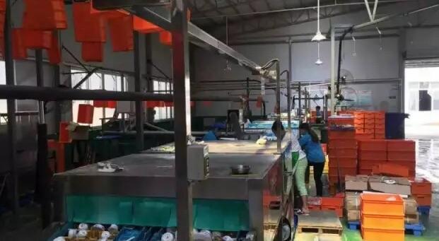 洗碗机蒸汽发生器.jpg 洗碗机蒸汽发生器.jpg