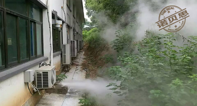 铁皮石斛加温消毒用电蒸汽发生器 铁皮石斛加温消毒用电蒸汽发生器