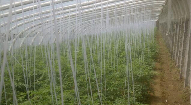 免检54kw电蒸汽发生器用途 免检54kw电蒸汽发生器用途