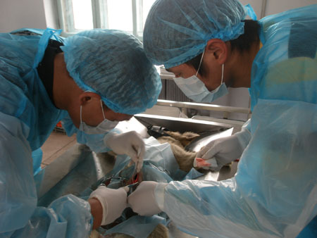 生物化工蒸汽发生器 生物化工蒸汽发生器