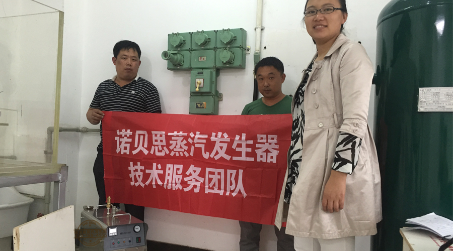 芭乐视频APP黄色版下载安装蒸汽发生器