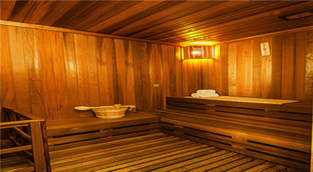 蒸汽桑拿蒸汽发生器