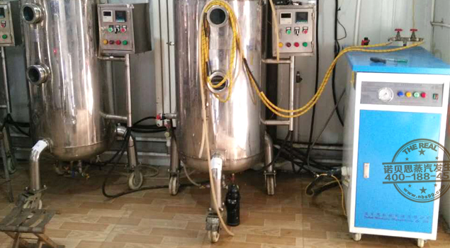 杀菌蒸汽发生器