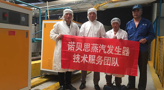 蒸汽发生器服务 蒸汽发生器服务