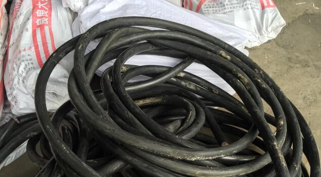 蒸汽发生器蒸电缆 蒸汽发生器蒸电缆