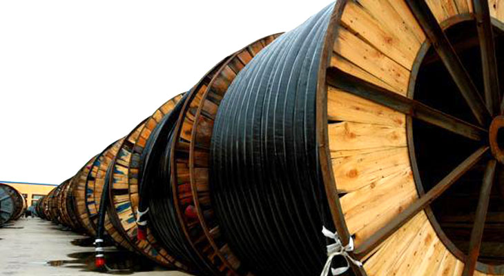 蒸电缆蒸汽发生器