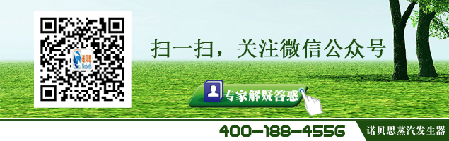 月饼加工蒸汽发生器 月饼加工蒸汽发生器