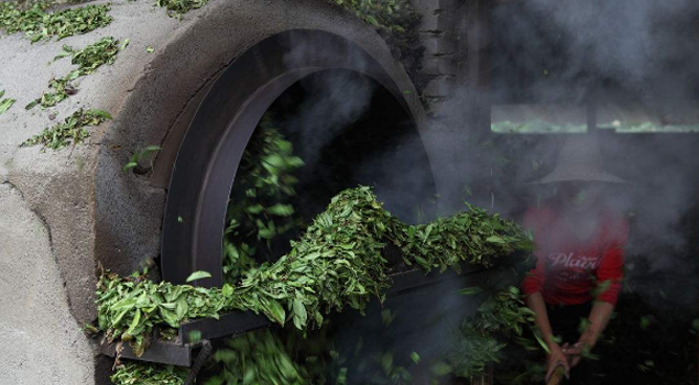 普洱茶杀青烘干蒸汽发生器 普洱茶杀青烘干蒸汽发生器