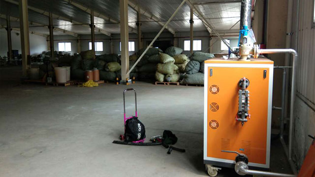 电蒸汽发生器 电蒸汽发生器