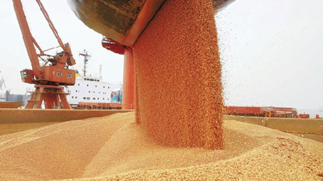 饲料加工专用芭乐视频成人网站 饲料加工专用芭乐视频成人网站