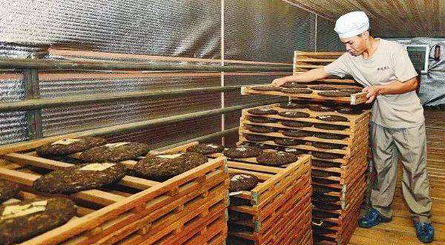 茶叶烘干蒸汽发生器 茶叶烘干蒸汽发生器