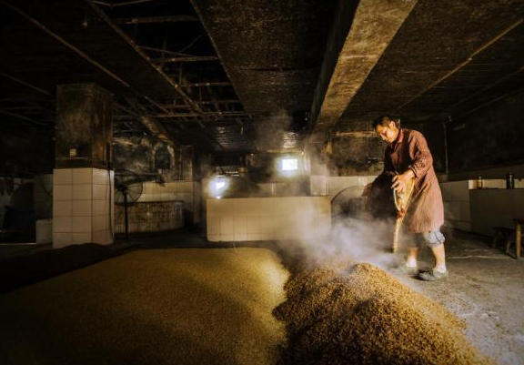 酿酒蒸汽发生器 酿酒蒸汽发生器