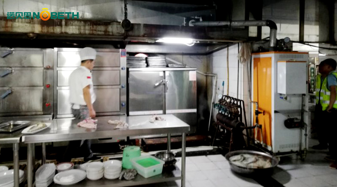 燃油蒸汽发生器 燃油蒸汽发生器