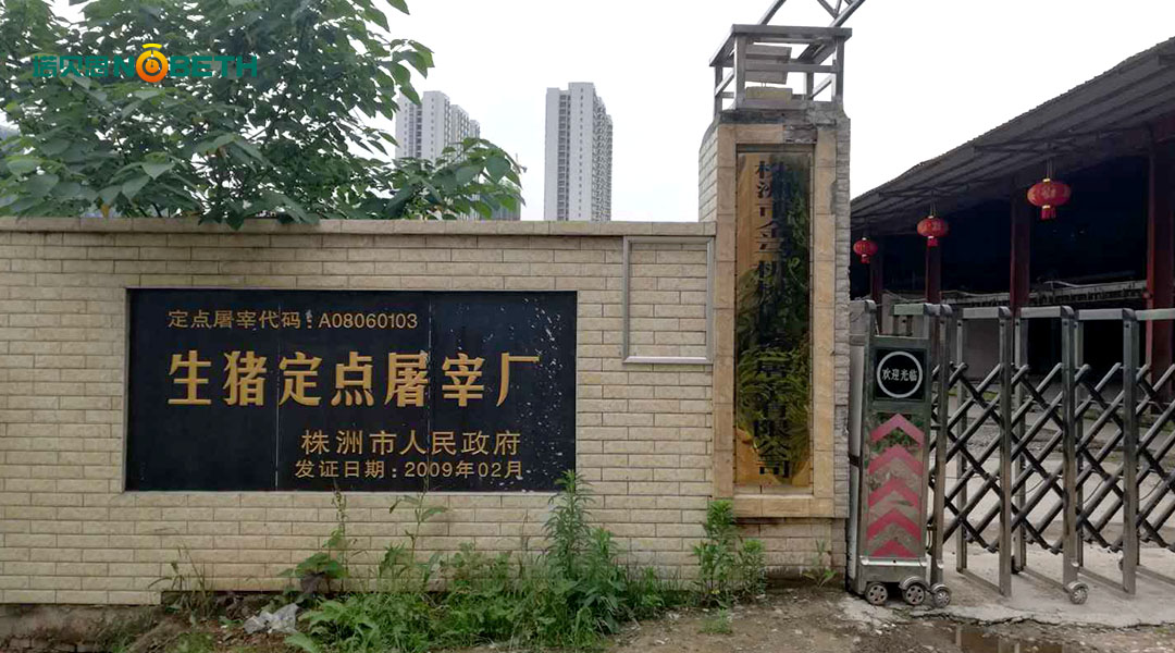 燃油蒸汽发生器 燃油蒸汽发生器