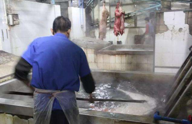 屠宰场用蒸汽发生器 屠宰场用蒸汽发生器