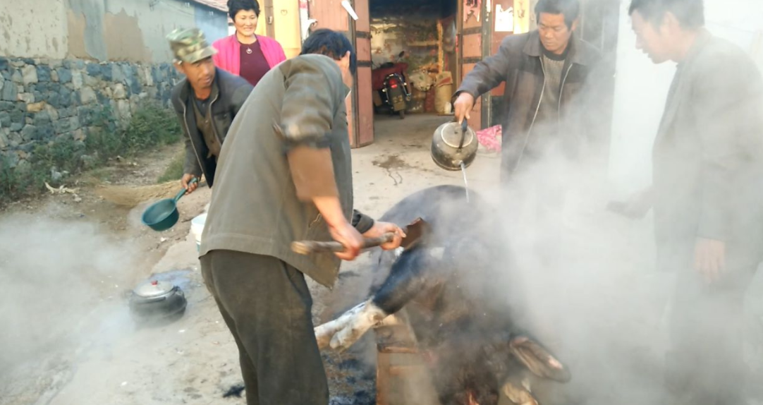 屠宰场烧开水脱猪毛蒸汽发生器 屠宰场烧开水脱猪毛蒸汽发生器
