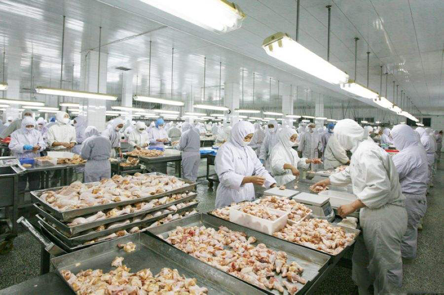 蒸汽发生器 蒸汽发生器