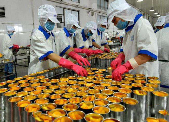 蒸汽发生器 蒸汽发生器