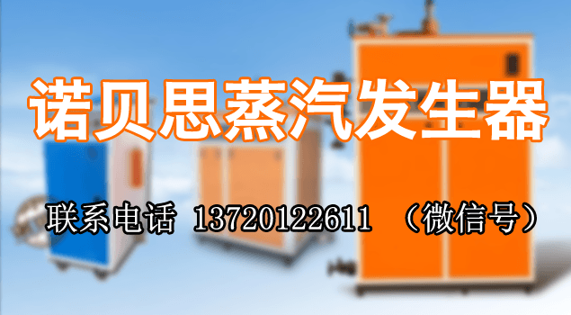 武钢集团购芭乐视频APP黄色版下载安装蒸汽发生器用于食堂蒸饭保温